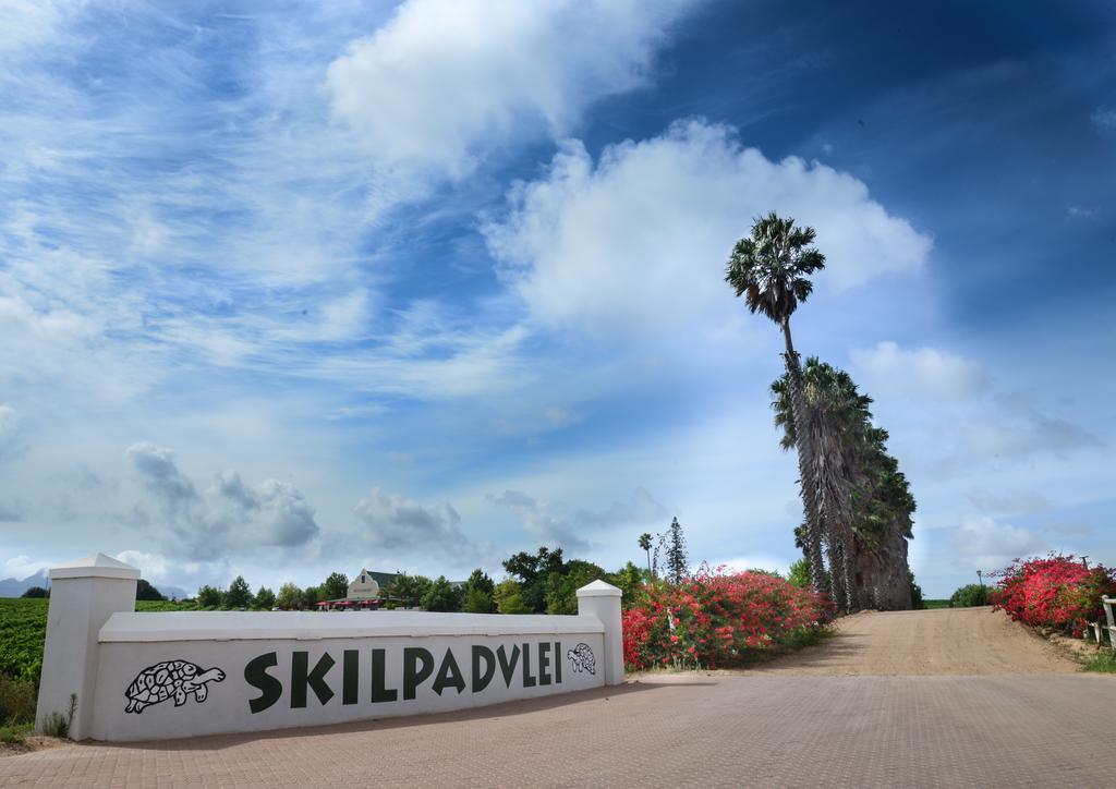 Skilpadvlei Wine Farm Municipalità locale di Municipalità locale di Stellenbosch Esterno foto