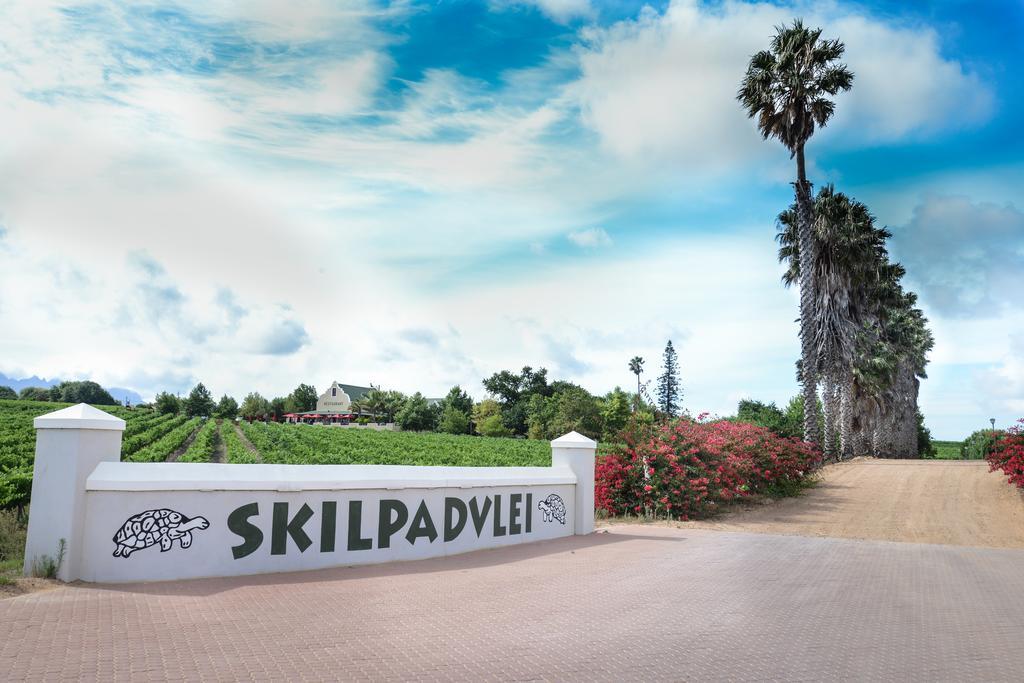 Skilpadvlei Wine Farm Municipalità locale di Municipalità locale di Stellenbosch Esterno foto
